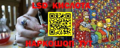 гашик Будённовск