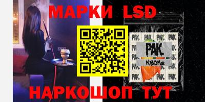 гашик Будённовск