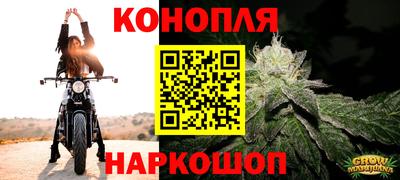 гашик Будённовск