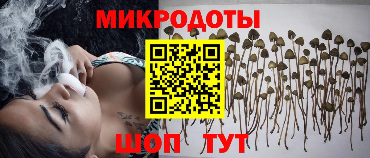 Галлюциногенные грибы Magic Shrooms  Вход с VPN  Псилоцибиновые грибы ЛСД  Балабаново 